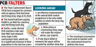 Since you do not have any records to prove he was vaccinated for rabies, you should contact a if your dog has already bitten someone in the past, and now has bitten someone again. Rabies Infected Stray Dog Bites 21 People Near Wanowrie Bazaar Pune News Times Of India