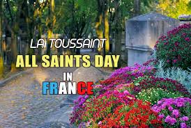Of a kind typically grown in gardens garden phlox also : What Is La Toussaint All Saints Day In France French Moments