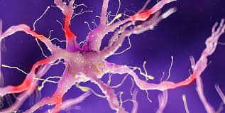 The left kidney, small intestine and descending colon are all found at the lower left side of the back, also known as the left lumbar region. 8 Signs You Might Have Nerve Damage According To Doctors