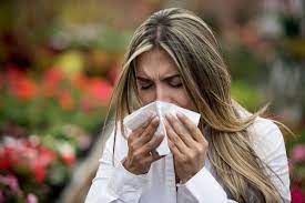 Things You May Not Know About Seasonal Allergies Lockey Fox Ledford Glaum Mds Pa
