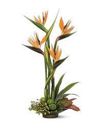 Check spelling or type a new query. Buffalo Florist Flower Delivery By Flowers By Johnny