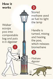 Check spelling or type a new query. Bright Start For Lamp Fuelled By Dog Waste News The Times