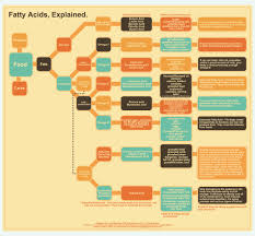 Omega Fatty Acids Archives Eating Disorder Pro