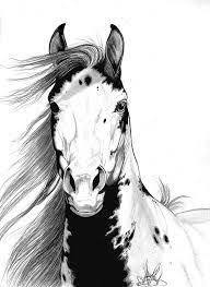 This will help to get the legs and body in the right place. Horse Head Drawing Drawing A Wild Mustang I Called Geronimo By Cheryl Poland Horse Drawings Horse Sketch Mustang Horse
