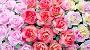 That's why i made this step by step paper cardstock rose tutorial. Nava Chiangmai 60 Pcs Rose 20mm Mixed Pink Mulberry Paper Flowers Handmade Craft Project Cardmaking Floral Valentine Buy Online In Antigua And Barbuda At Antigua Desertcart Com 26993543