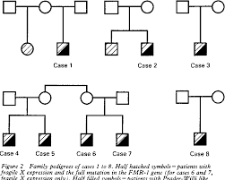 figure 2 from clinical and molecular studies in fragile x