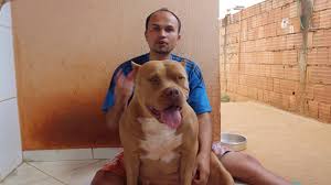Como o fungo entra em contato com as pessoas? Fungos Como Eliminar Simples E Barato Cuidando Dos Pit Monster Youtube