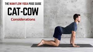 Gently exhale and contract your abdominal muscles, pushing your spine upwards towards the ceiling and hold this position for 10. Cat Cow Man Flow Yoga Pose Guide