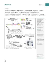 Pdf Protein Interaction Screen On Peptide Matrix Prisma Reveals Interaction Footprints And Ptm Dependent Interactome Of Intrinsically Disordered C Ebpb