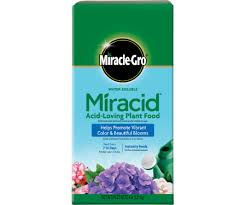 The soil mine was planted in was pulling away from. Miracle Gro Water Soluble Miracid Acid Loving Plant Food 30 10 10 Scenic Roots Garden Center