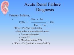 • most common intrarenal cause of acute renal. Approach To Acute Renal Failure Dr Mohammed Alghonaim