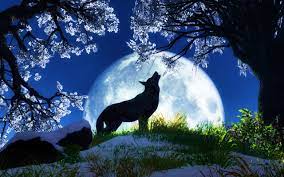 49 Free Wolf Wallpapers For Laptops On Wallpapersafari Here you can find the best cool wolf wallpapers uploaded by our community. 49 free wolf wallpapers for laptops