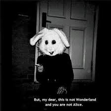 From the shores of the toxic ohio river in cincinnati comes run rabbit run, a band formed of an. Run Rabbit Run ð•¤ð•ð• ð•¨ð•–ð•• By Indie Kidd Xx