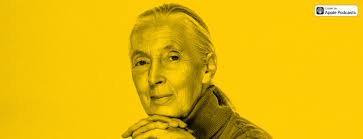 Jane Goodall — Armchair Expert