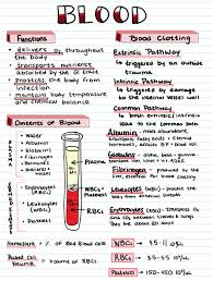 Visit Cecestudyguides Com For More Nursing School Notes Nursing School Studying Medical School Studying