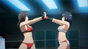 Sekai De Ichiban Tsuyoku Naritai Anime Pro Wrestler Wrestling