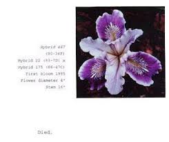 Start at off the rail for coffee drinks and breakfast goodies, lake street café for lunch, gesserts for ice cream, paddock club or the concourse restaurant for fine dining, and brown baer for drinks and live music. George Gessert Alchetron The Free Social Encyclopedia