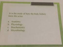 Maybe you would like to learn more about one of these? It Is The Study Of The Structure And Shape Of The Chegg Com