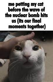 White Cat Table Meme Generator