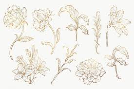 Gold Floral Outline Set Transparent Png Premium Image By Rawpixel Com Nunny Flower Drawing Flower Outline Flower Illustration