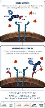 What are the most important side effects and. Kevzara Mechanism Of Action Kevzara Sarilumab
