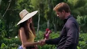 In the united states it will premiere on telemundo on 25 may 2021. Primeira Chamada De Cafe Com Aroma De Mulher Nova Trama Com William Levy Em Breve Video Dailymotion
