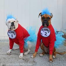 Homemade Dog Costumes 15 Diy Costumes For Your Dog Pet Halloween Costumes Cute Dog Halloween Costumes Cute Dog Costumes