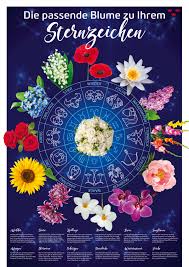 Unsere sternzeichen, auch tierkreiszeichen genannt, sind symbolbilder, die jeweils einem von zwölf himmelsabschnitten zugeordnet sind. Blumengrossmarkt Koln Eg Plakat Die Passende Blume Zu Ihrem Sternzeichen