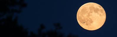 Learn about the full buck moon, why july is such an important month in moon history, and how scientists measure the distance from earth to the moon. Full Buck Moon 2021 How To See Summer S Gorgeous First Full Moon
