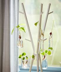 Create Your Own Hanging Garden With An Ekrar Coat Stand Glass Vases And Cuttings Find This And More Simple Fun Pl Hangender Garten Pflanzenschaukel Pflanzen