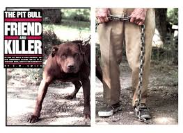 People are afraid of them. The History Of Pit Bulls Love A Bull