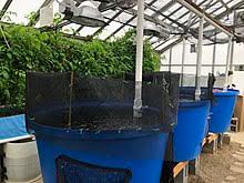 A review of its greenhouse & floriculture pulblications. Aquaponics Wikipedia