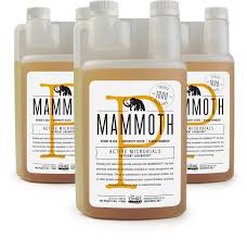 Mammoth P Mammoth Microbes