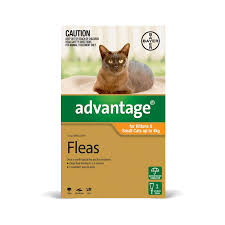 Bravecto® for cats is a flea and tick treatment produced by pharmaceutical company merck animal health. Advantage For Kittens Small Cats Vetshopaustralia