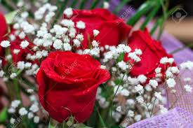 100 ₽ discount in the application. Red Rose With White Flowers