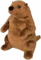 Amazon.com: Douglas Mr G. Groundhog Plush Stuffed Animal : Toys & Games