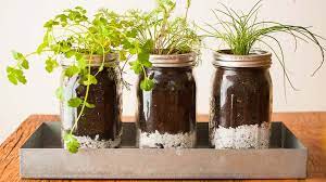 Check spelling or type a new query. Diy Mason Jar Herb Garden Pass The Pistil