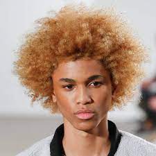Pin By Stephen Charles On Look Book Dramatic Afro Hairstyles Afro Hairstyles Men Blonde Afro