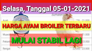 Oleh sebab itu, pada kesempatan ini. Harga Ayam Broiler Hari Ini Selasa Tanggal 05 Januari 2021 Youtube