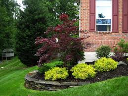 Choose exterior paint based on the door's material. Landscape Ideas For Shady Front Of House Case Landscape Ideas For Fron Modern Landscape Design Front Yard Front Yard Landscaping Design Front House Landscaping