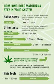 Typically, thc is detectable for up to 90 days in hair, anywhere between 3 days to a month or longer in urine (depending on how often the person uses), up to 48 hours in saliva, and up to 36 hours in blood. How Long Does Weed Stay In Your System Urine Saliva Hair Blood