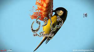 معنى اسم شادي وصفات حامل هذا الاسم shady drop earrings earrings jewelry