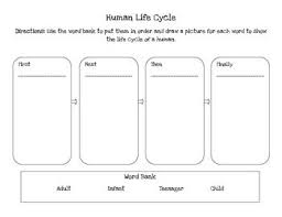 Chevron Writing Goals Human Life Cycle Life Cycles Writing Goals