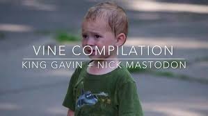 an actually good gavin vine compilation