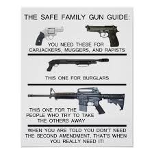 Pin On Gun Rights