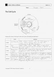 Savesave cell_division_worksheet_answers (1).rtf for later. Cells Alive Cell Cycle Worksheet Quizlet