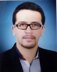 CV Template : Academic Careers