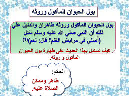 يظهر موقف نيبو اذا اصاب الملابس بول Ffigh Org