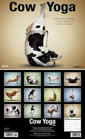 Cow Yoga Calendar Cows Funny Cow Logo Cow Art