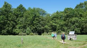 For those seeking a challenge, the 5 mile boone fork trail is one of the high country's most stimulating and challenging directions from boone: Boone Fork Trail The Art Of The Hike